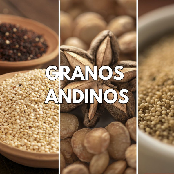 LINEA DE GRANOS ANDINOS